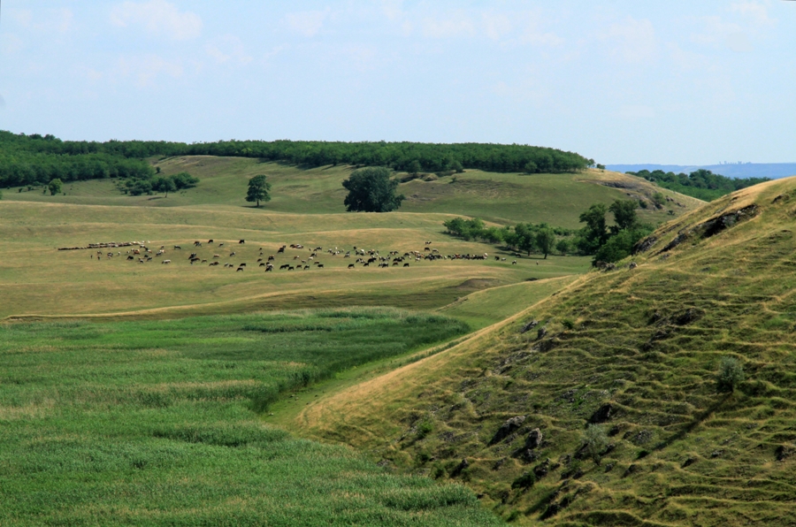 Пейзаж со стадом у подножья толтровой гряды