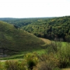 Ocolul silvic „La Castel” în apropierea satului Gordineşti, Edineţ