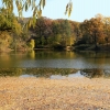 Lacul din faţa mănăstirii, noiembrie 2011