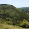 Reciful de toltre din ocolul silvic „La Castel” de lîngă satul Gordineşti, Edineţ